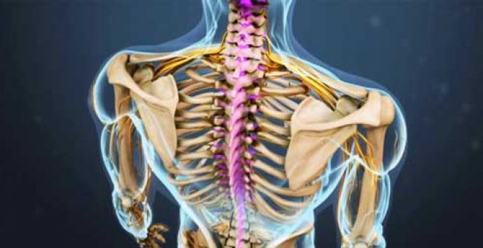 KAFATASI VE OMURGA YARALANMALARININ NEDENLERİ NELERDİR?